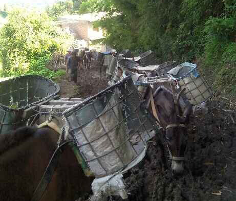 金平区马帮搬运