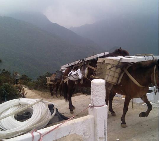 金平区山区马帮运输