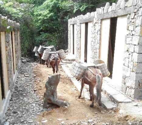 金平区马队运输队