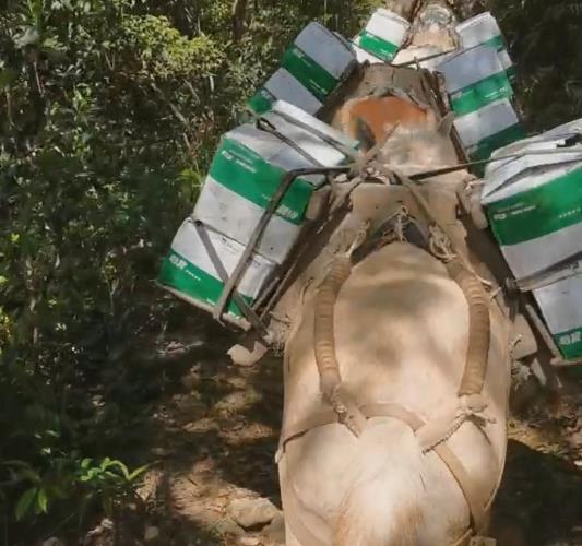 金平区骡马山路运输