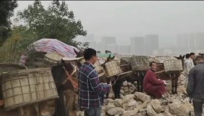 金平区骡马山区运输