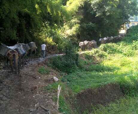 金平区马帮运输队