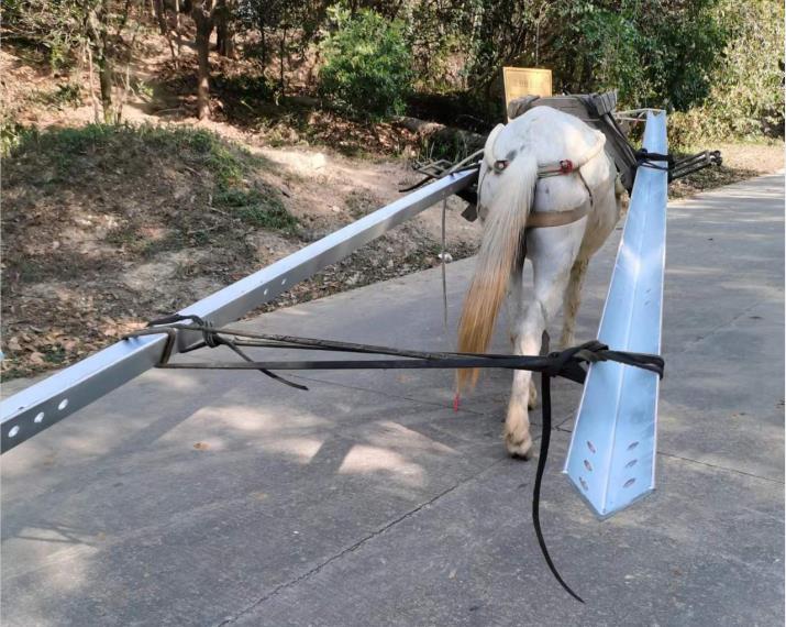 金平区马队搬运