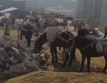 金平区马队山路运输
