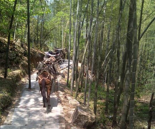 金平区山路马队运输