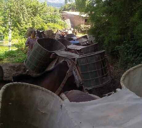 金平区骡马运输